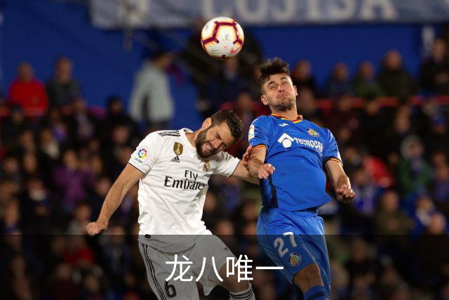 龙八唯一公司简介图片